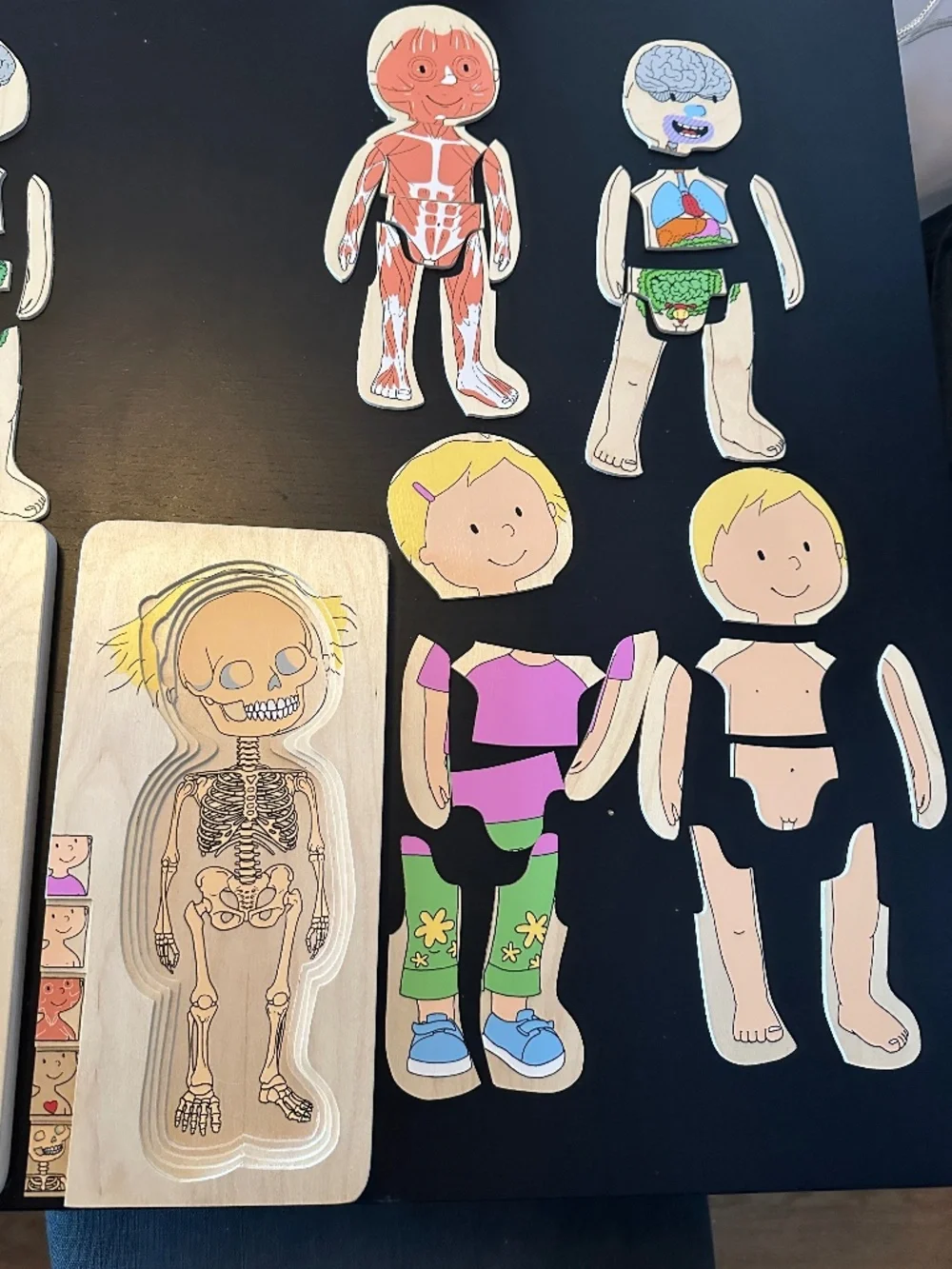 Hape Wooden Layered Anatomy Puzzles Boy & Girl Set of 2